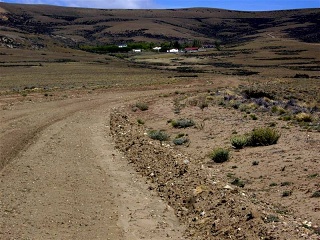 Calafate - Piedrabuena - Ruta 9 - Estancia