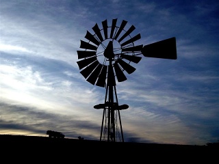 Camping La Paloma - Windmolen