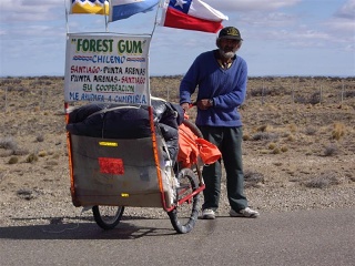 Tres Cerros - Parque BP - Forest Gum